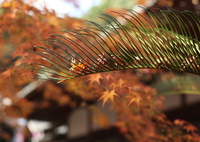 受け止められて