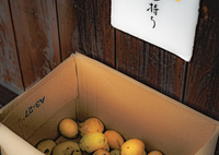 かりんの食べ方はのど飴しか知らへん