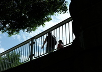 今日は隅田公園で11時