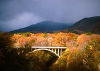 film・久しぶりに♨️へ*