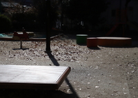 ひかり　その131