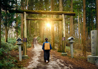 金剛山ハイキング