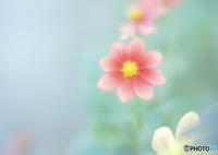 「ココだけの話」