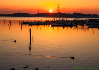 夕暮れは今日も長閑やかなり..