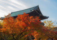 南禅寺山門と紅葉
