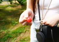 思い出のさくらんぼ