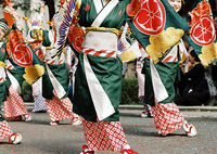 第10回横浜よさこい祭り⑦・2-2(終)