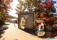 気の早いクリスマス