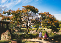 静かな庭園のひととき