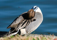 あのぉ～頭がずれていませんか？