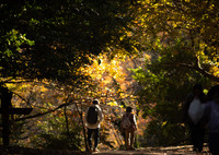 秋の散策路