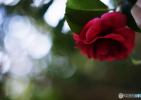 やさしさに包まれたならpart6(=^・^=)