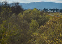 向こうを走る単機