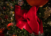 レッドリボン・・クリスマスツリー