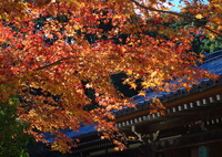 当尾の里・浄瑠璃寺
