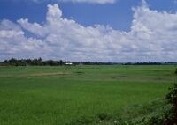 Lewa (レワ)村郊外