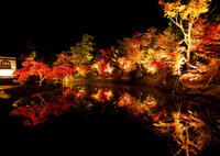 高台寺ライトアップ