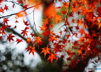 切磋TAKUMAR＼^0^／