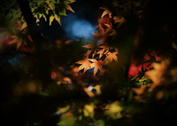 すぽっとらいと