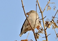 お帰りシメさん＾＾