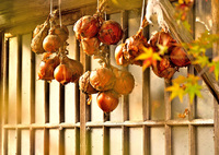 農家さんの彩り