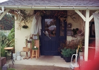 film　雨の日の写りこみ