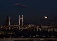 今宵の月のように