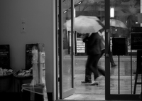 行き交う雨傘を眺めて