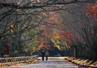 季節は進みます