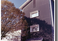 晩秋の木陰と黒い壁体