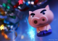 欲望（星に願いを)