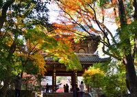 功山寺2022　11月-1　山門①