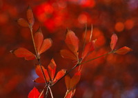 Breaking Up Is Hard to Do