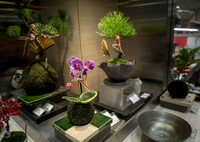 ♪ もぉ～いくつ・・ ♪♪ 正月飾り