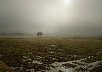 在り続けること