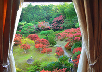 旧松本邸　洋館2023　晩秋-01　2F客室（B）窓②