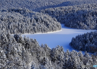 原生林と氷結湖