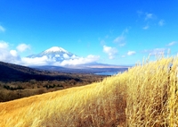 秋風に吹かれて