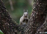 皆様良いお年をお迎えください