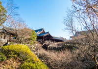 冬枯れの東福寺通天橋