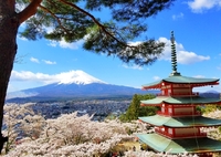 待ち遠しい季節