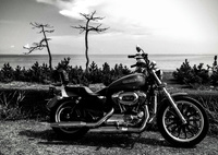 あの夏の鼓動・・・