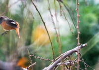 フライング…何とかゲット