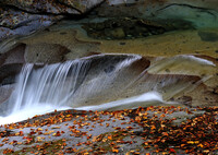 秋 流 れ(あきながれ）