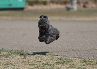 空中浮遊！？