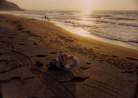 浜辺の家族　ベルビア