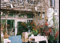 さて、ここで問題です。～Rollei35S作例