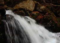 涼秋の渓流瀑