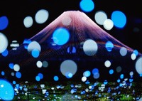 今年は雪が多いです。