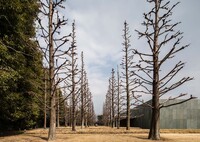 豊田市美術館　２